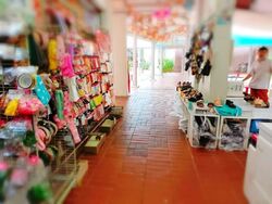 264 SERANGOON CENTRAL (D19), Shop House #569060031